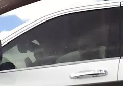 سبزه زرق و برق دار Negritos کلیپ سکس مجانی سالم