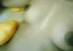 فیله بالغ با مشاعره بزرگ به پسر جوان بر روی تخت گذاشته شده به او دمار از روزگارمان لینک کلیپ سکسی تلگرام درآورد