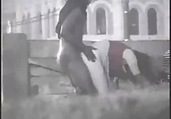 به طور کامل یک پیچ سوپرایرانی ازعقب را به یک گربه از عوضی ملایم سوار کرد